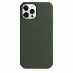 iPhone 12 Pro Max Silicone Case (Green)