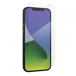 iPhone 12 Pro Max TEMPERED GLASS (BOX OF 10) (PRIVACY)